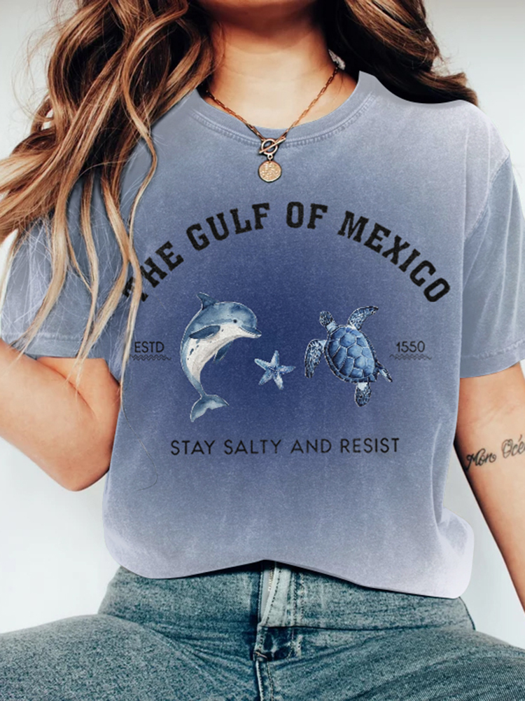 Gulf Of Mexico In Gradient Vintage Women's Washed T-shirt
